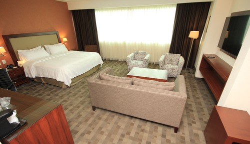 Suite, 1 King Bed