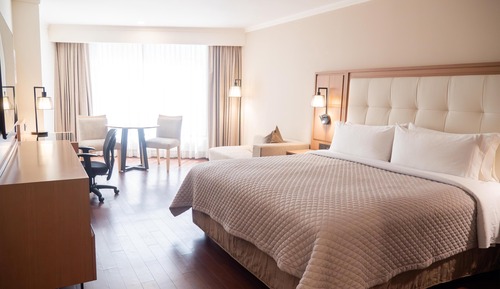Room, 1 King Bed, Accessible (Roll-In Shower)