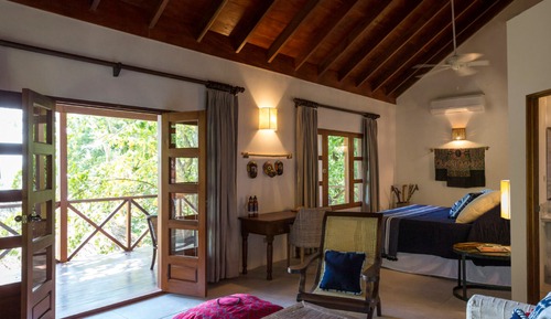 Rainforest Jr. Suite