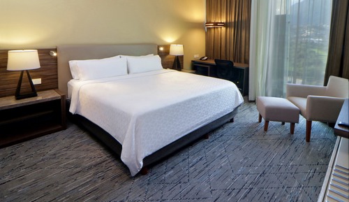 Standard Room, 1 King Bed, Mountain View (High Floor)