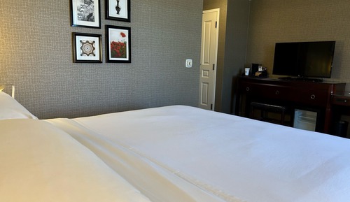 Room, 1 King Bed (Mobility/Hearing Access, Roll-in Shwr)