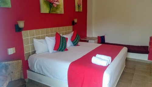 Junior Double Room, 1 King Bed