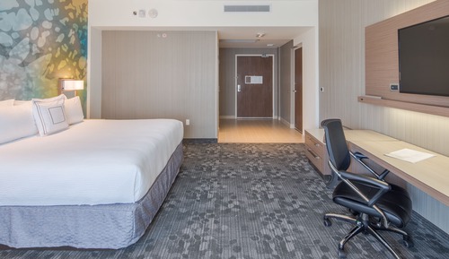 Room, 1 King Bed with Sofa bed
