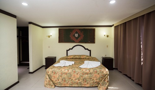 Room, 1 King Bed