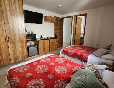 Double Room with Terrace