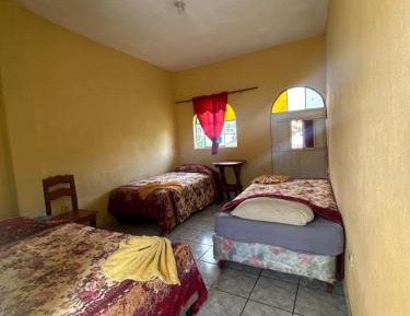 Single Bed in Mixed Dormitory Room