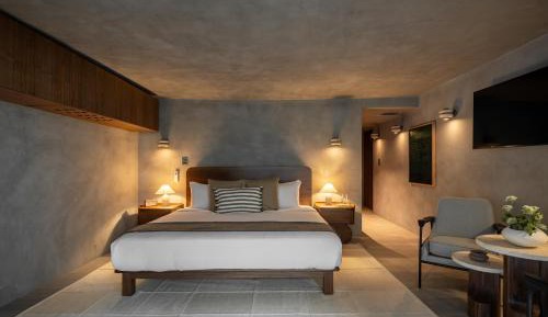 Junior Suite with Terrace