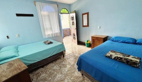 Single Bed in Female Dormitory Room