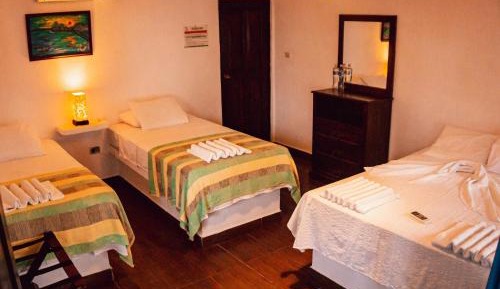 Executive Queen Room with Two Queen Beds