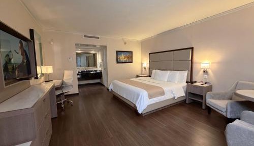 King Room with Garden View