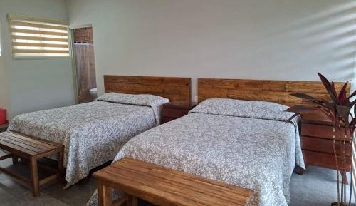 Double Room with Two Double Beds