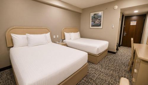 Double Room with 2 Double Beds - Non-Smoking