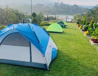 Tent