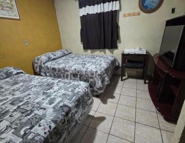 Double or Twin Room