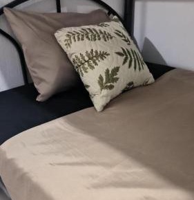 Bunk Bed in Mixed Dormitory Room