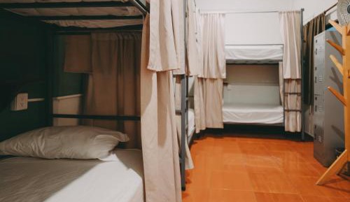 Bed in 6-Bed Mixed Dormitory Room
