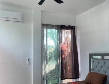 King Room with Garden View
