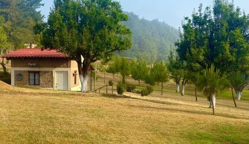 One-Bedroom Chalet