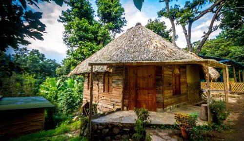 Bungalow