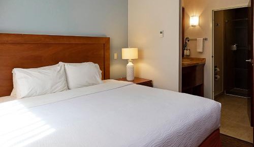 One-Bedroom King Suite
