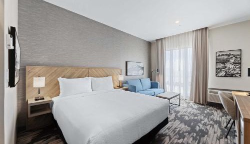 Standard Room, 1 King Bed, Sofa Bed