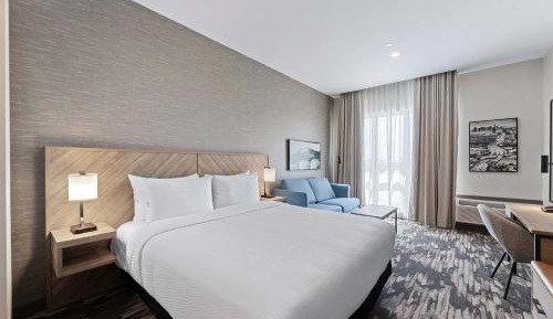 Standard Room, 1 King Bed, Sofa Bed, Euro Bathroom