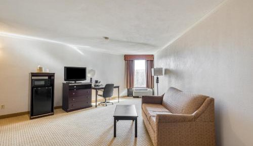 One-Bedroom Suite