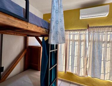 Bed in 4-Bed Mixed Dormitory Room
