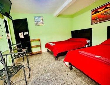 Quadruple Room with Private Bathroom