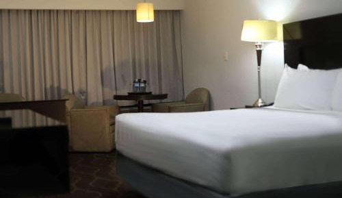1 King Bed, Standard, Non-Smoking