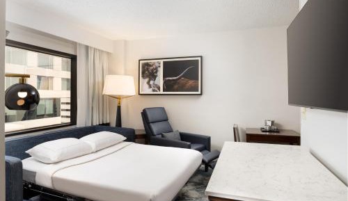 Junior King Suite with Sofa Bed and Kitchen