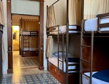 Bunk Bed in Mixed Dormitory Room