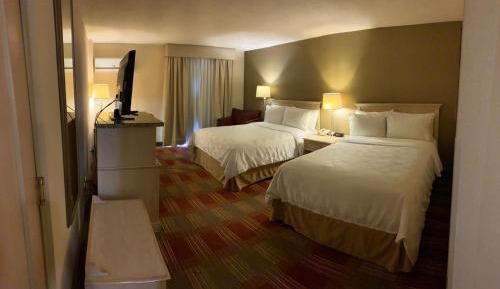 Standard Double Room with Two Double Beds