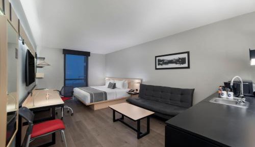 One-Bedroom King Suite with Sofa Bed 