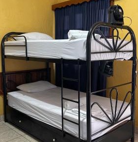 Bunk Bed in Mixed Dormitory Room