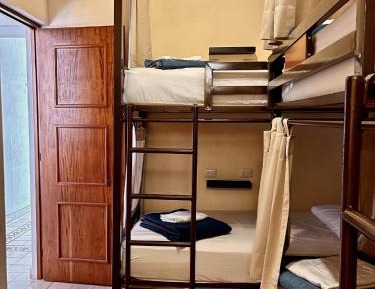 Bed in 4-Bed Female Dormitory Room