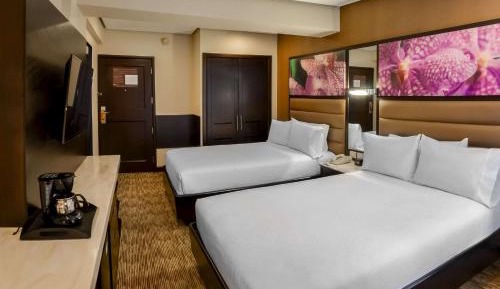 Double Room with Two Double Beds