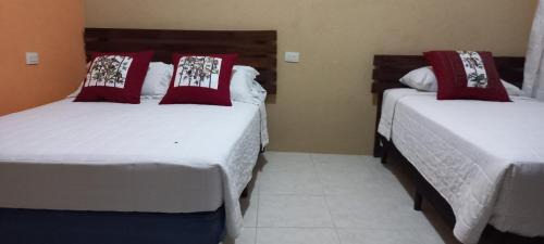 Basic Triple Room