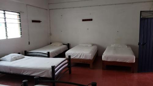 Bed in 8-Bed Mixed Dormitory Room