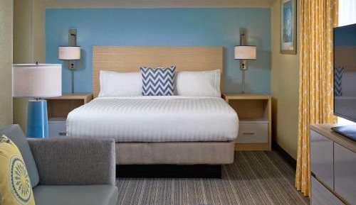 Studio Suite - Queen - Mobility Accessible - Roll-In Shower