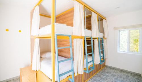Single Bed in Female Dormitory Room
