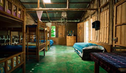 Bed in 8-Bed Dormitory Room