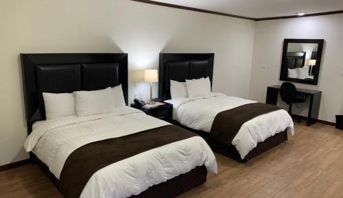 Standard Double Suite