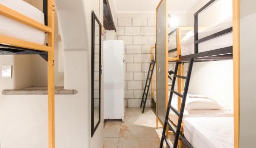Bed in 4-Bed Dormitory Room