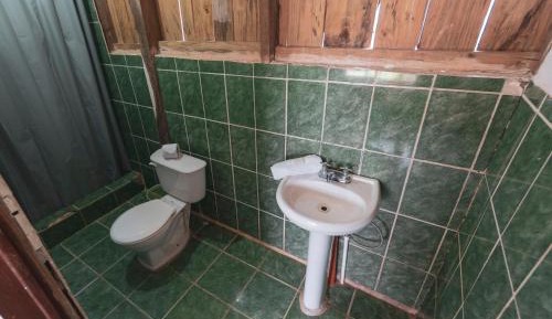 Basic Triple Room