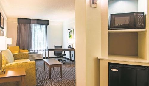 Deluxe King Suite