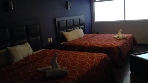 King Room