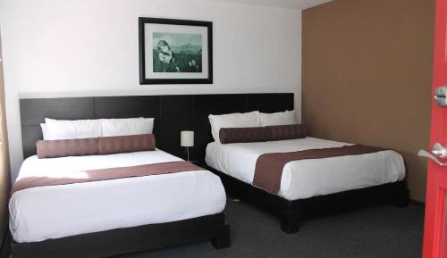 Junior Suite (4 Adults)