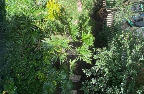 Puebla House | IDEAL HOUSE FOR GROUPS OR FAMILIES IN A HISTORIC AND WOODED AREA