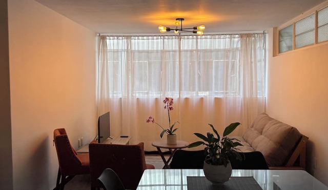 Spacious 3-bedroom apartment in the historic district